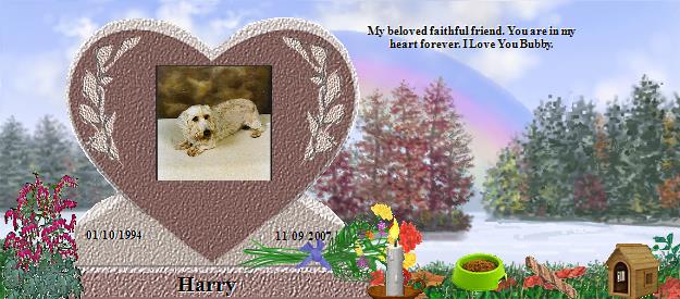 Harry's Rainbow Bridge Pet Loss Memorial Residency Image