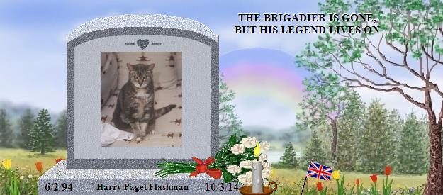 Harry Paget Flashman's Rainbow Bridge Pet Loss Memorial Residency Image