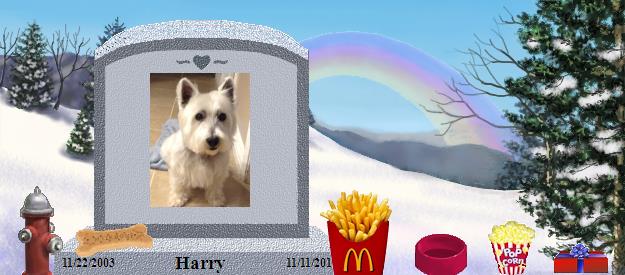 Harry's Rainbow Bridge Pet Loss Memorial Residency Image