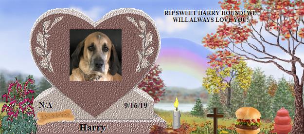 Harry's Rainbow Bridge Pet Loss Memorial Residency Image