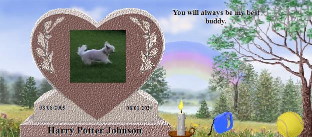 Harry Potter Johnson's Rainbow Bridge Pet Loss Memorial Residency Image