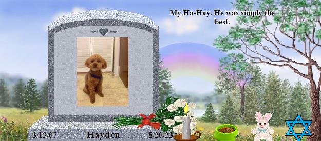 Hayden's Rainbow Bridge Pet Loss Memorial Residency Image