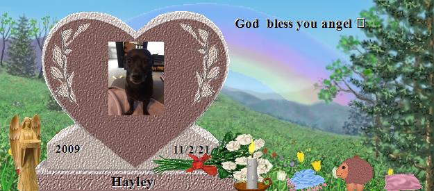 Hayley's Rainbow Bridge Pet Loss Memorial Residency Image