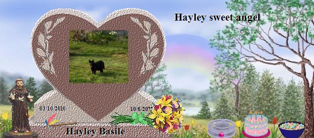 Hayley Basile's Rainbow Bridge Pet Loss Memorial Residency Image