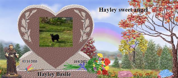 Hayley Basile's Rainbow Bridge Pet Loss Memorial Residency Image