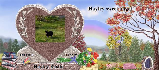 Hayley Basile's Rainbow Bridge Pet Loss Memorial Residency Image