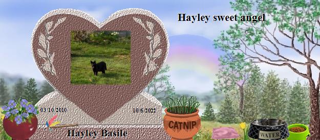 Hayley Basile's Rainbow Bridge Pet Loss Memorial Residency Image