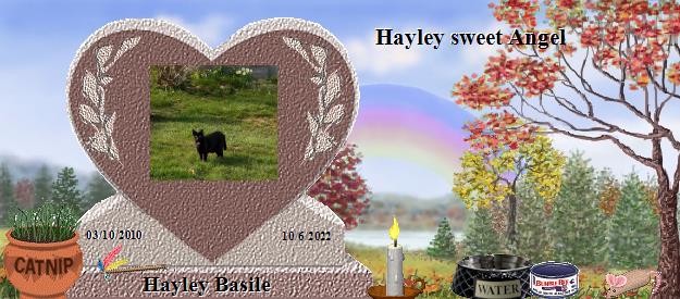 Hayley Basile's Rainbow Bridge Pet Loss Memorial Residency Image