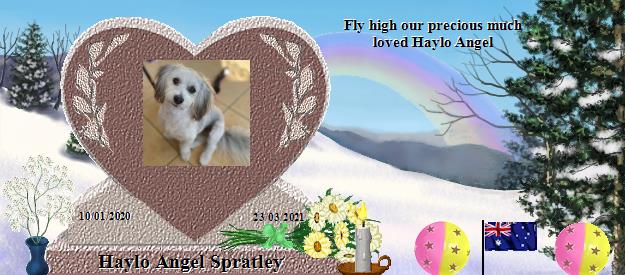Haylo Angel Spratley's Rainbow Bridge Pet Loss Memorial Residency Image