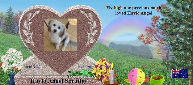 Haylo Angel Spratley's Rainbow Bridge Pet Loss Memorial Residency Image