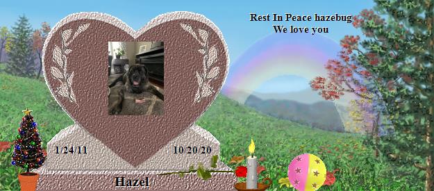 Hazel's Rainbow Bridge Pet Loss Memorial Residency Image