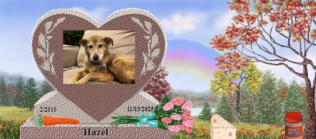 Hazel's Rainbow Bridge Pet Loss Memorial Residency Image