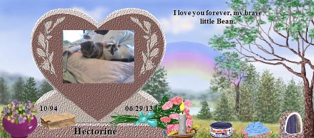 Hectorine's Rainbow Bridge Pet Loss Memorial Residency Image