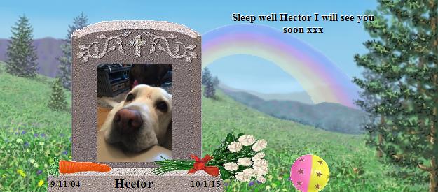 Hector's Rainbow Bridge Pet Loss Memorial Residency Image