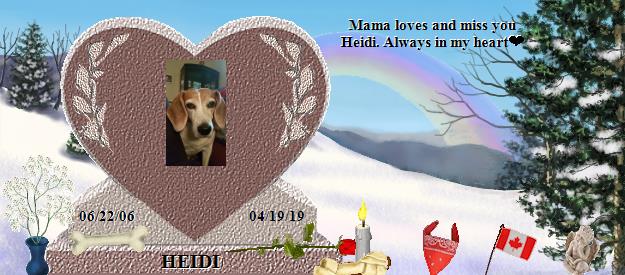 HEIDI's Rainbow Bridge Pet Loss Memorial Residency Image
