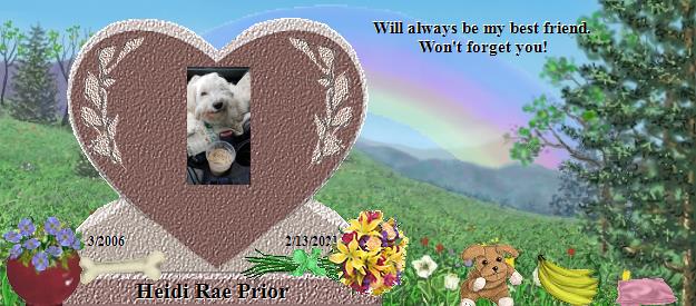 Heidi Rae Prior's Rainbow Bridge Pet Loss Memorial Residency Image