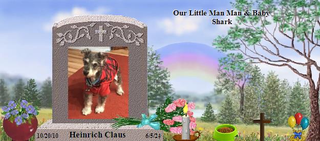 Heinrich Claus's Rainbow Bridge Pet Loss Memorial Residency Image