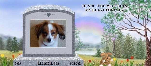 Henri Lees's Rainbow Bridge Pet Loss Memorial Residency Image