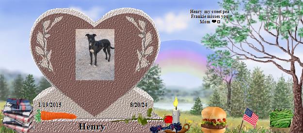Henry's Rainbow Bridge Pet Loss Memorial Residency Image
