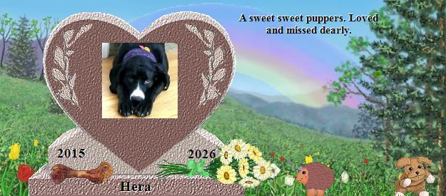 Hera's Rainbow Bridge Pet Loss Memorial Residency Image