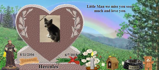 Hercules's Rainbow Bridge Pet Loss Memorial Residency Image