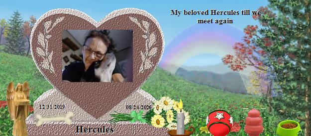Hercules's Rainbow Bridge Pet Loss Memorial Residency Image