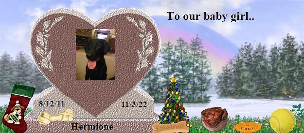 Hermione's Rainbow Bridge Pet Loss Memorial Residency Image