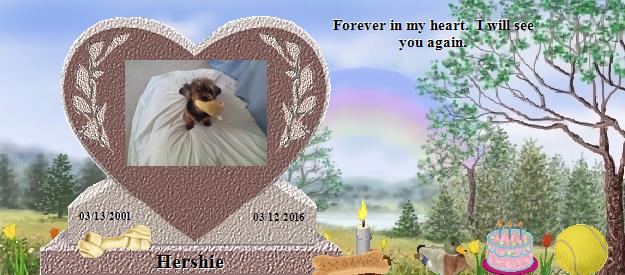 Hershie's Rainbow Bridge Pet Loss Memorial Residency Image