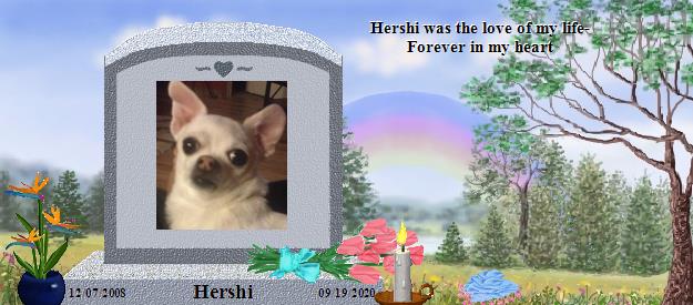 Hershi's Rainbow Bridge Pet Loss Memorial Residency Image