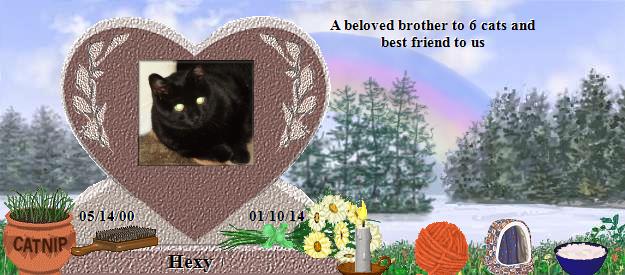 Hexy's Rainbow Bridge Pet Loss Memorial Residency Image