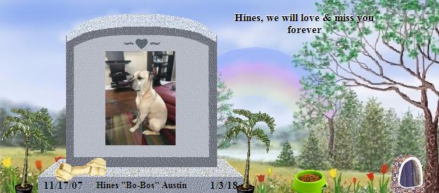Hines "Bo-Bos" Austin's Rainbow Bridge Pet Loss Memorial Residency Image