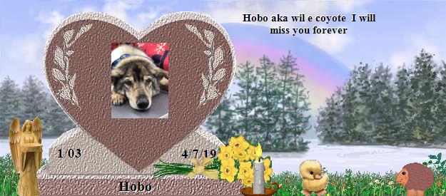 Hobo's Rainbow Bridge Pet Loss Memorial Residency Image