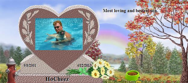HoCheez's Rainbow Bridge Pet Loss Memorial Residency Image