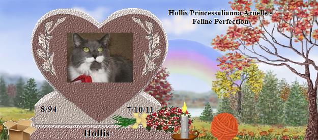 Hollis's Rainbow Bridge Pet Loss Memorial Residency Image