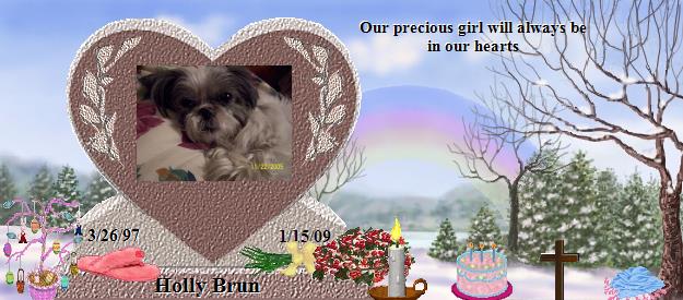 Holly Brun's Rainbow Bridge Pet Loss Memorial Residency Image