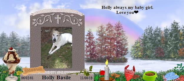 Holly Basile's Rainbow Bridge Pet Loss Memorial Residency Image
