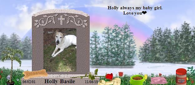 Holly Basile's Rainbow Bridge Pet Loss Memorial Residency Image