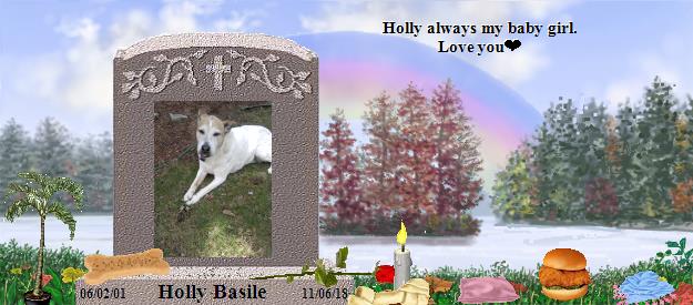 Holly Basile's Rainbow Bridge Pet Loss Memorial Residency Image