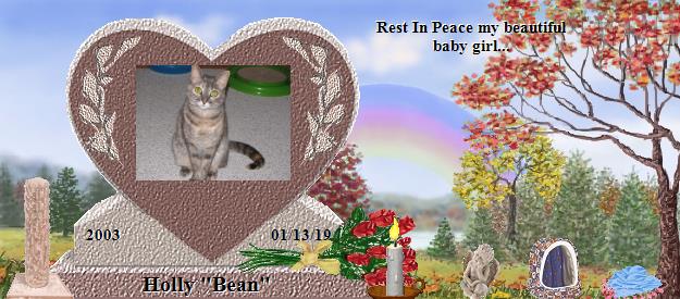 Holly "Bean"'s Rainbow Bridge Pet Loss Memorial Residency Image