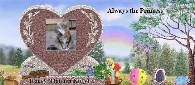 Honey (Honush Kitty)'s Rainbow Bridge Pet Loss Memorial Residency Image