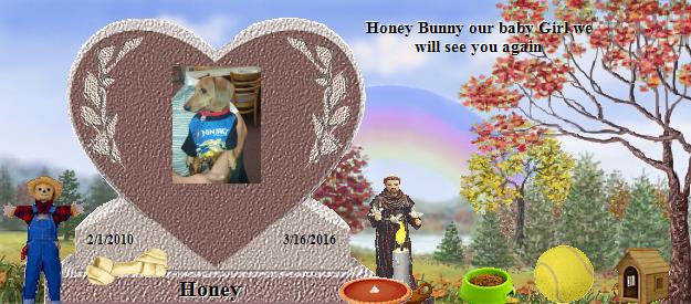 Honey's Rainbow Bridge Pet Loss Memorial Residency Image