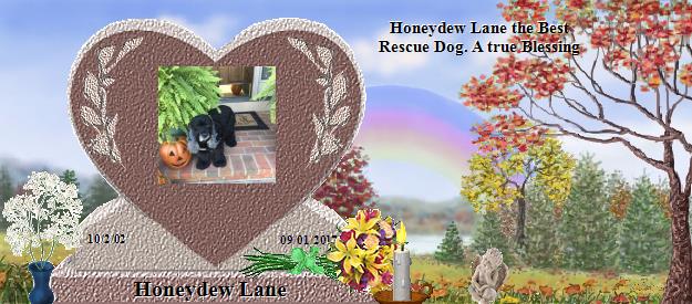 Honeydew Lane's Rainbow Bridge Pet Loss Memorial Residency Image
