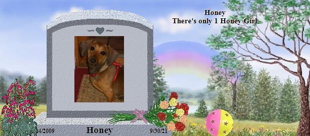 Honey's Rainbow Bridge Pet Loss Memorial Residency Image