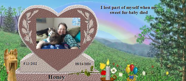 Honey's Rainbow Bridge Pet Loss Memorial Residency Image