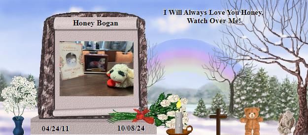 Honey Bogan's Rainbow Bridge Pet Loss Memorial Residency Image