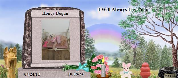 Honey Bogan's Rainbow Bridge Pet Loss Memorial Residency Image