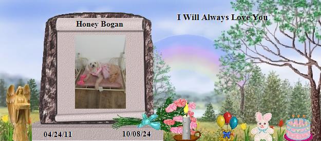 Honey Bogan's Rainbow Bridge Pet Loss Memorial Residency Image