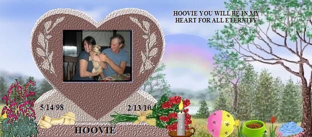 HOOVIE's Rainbow Bridge Pet Loss Memorial Residency Image