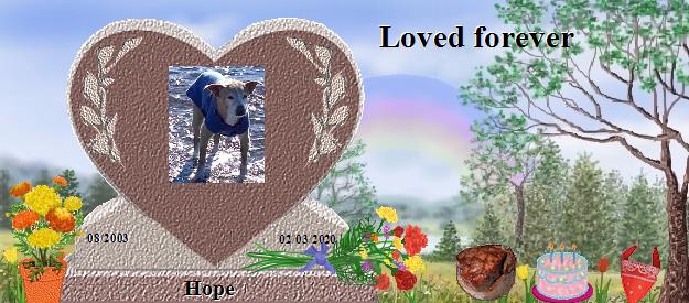 Hope's Rainbow Bridge Pet Loss Memorial Residency Image