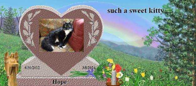 Hope's Rainbow Bridge Pet Loss Memorial Residency Image